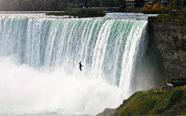 Niagara Falls