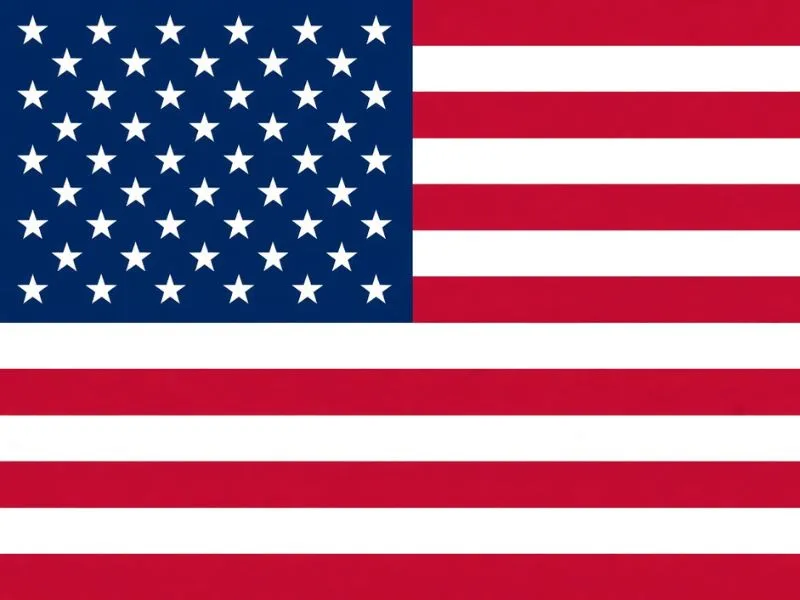 International Driving Permit for the USA - road trip essentials